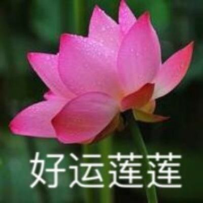 醉封神手机版