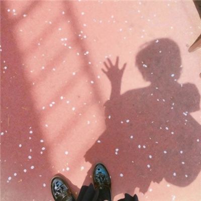 创造与魔法先行版下载